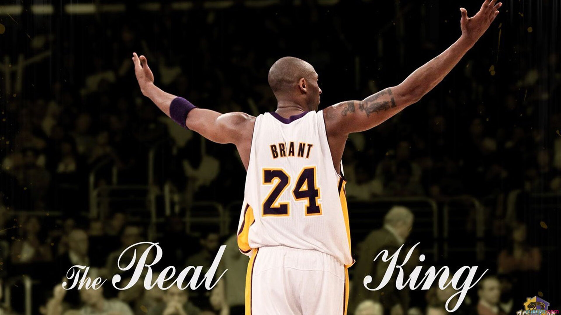 九游娱乐网站体验棒-史上最激动人心“冠军对决”现场盛况，冠军精彩